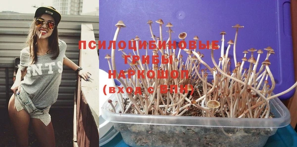 spice Дмитров