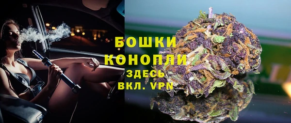 крисы Горняк