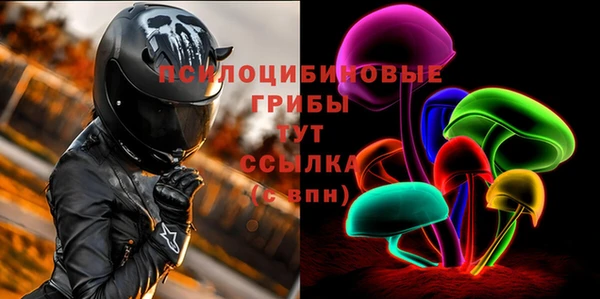 ПСИЛОЦИБИНОВЫЕ ГРИБЫ Дмитровск