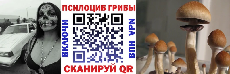 Галлюциногенные грибы Magic Shrooms Купить закладки Кушва